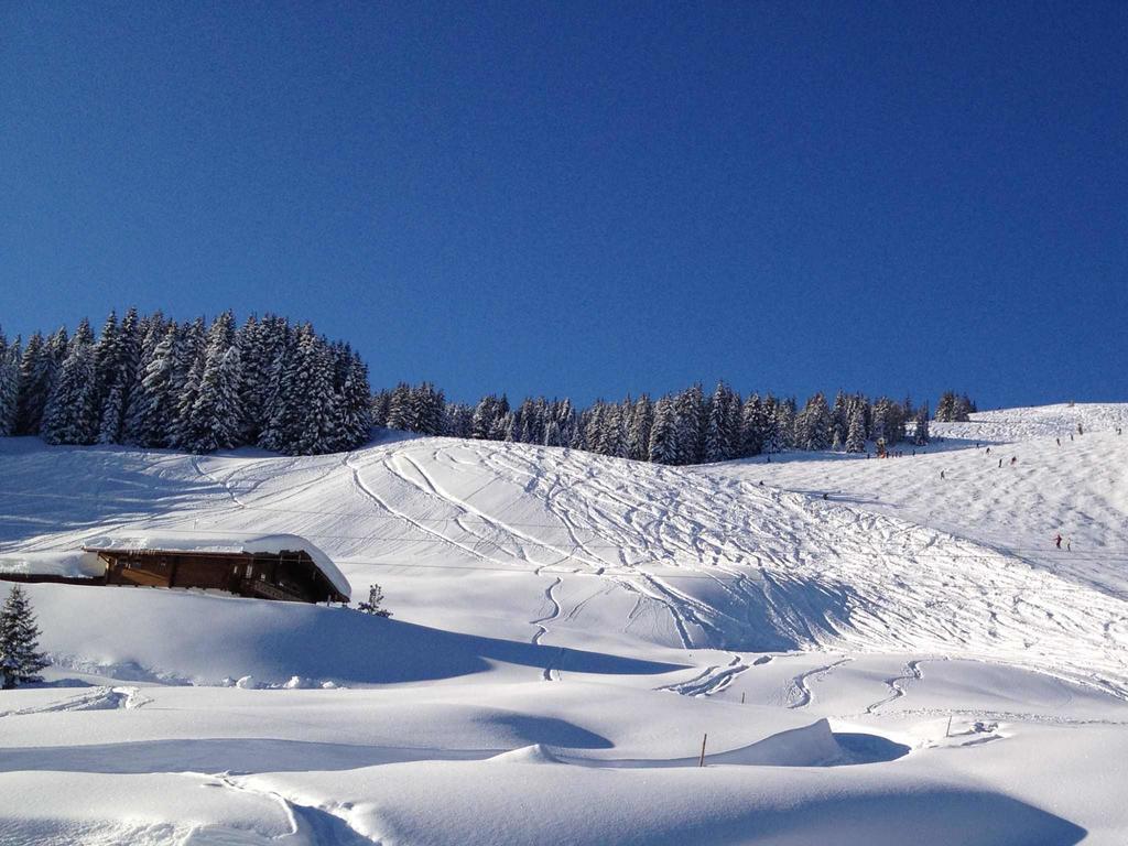 Wallegg - Alpine Premium - In-ski Out - Real Alpine Location Nhà gỗ Saalbach-Hinterglemm