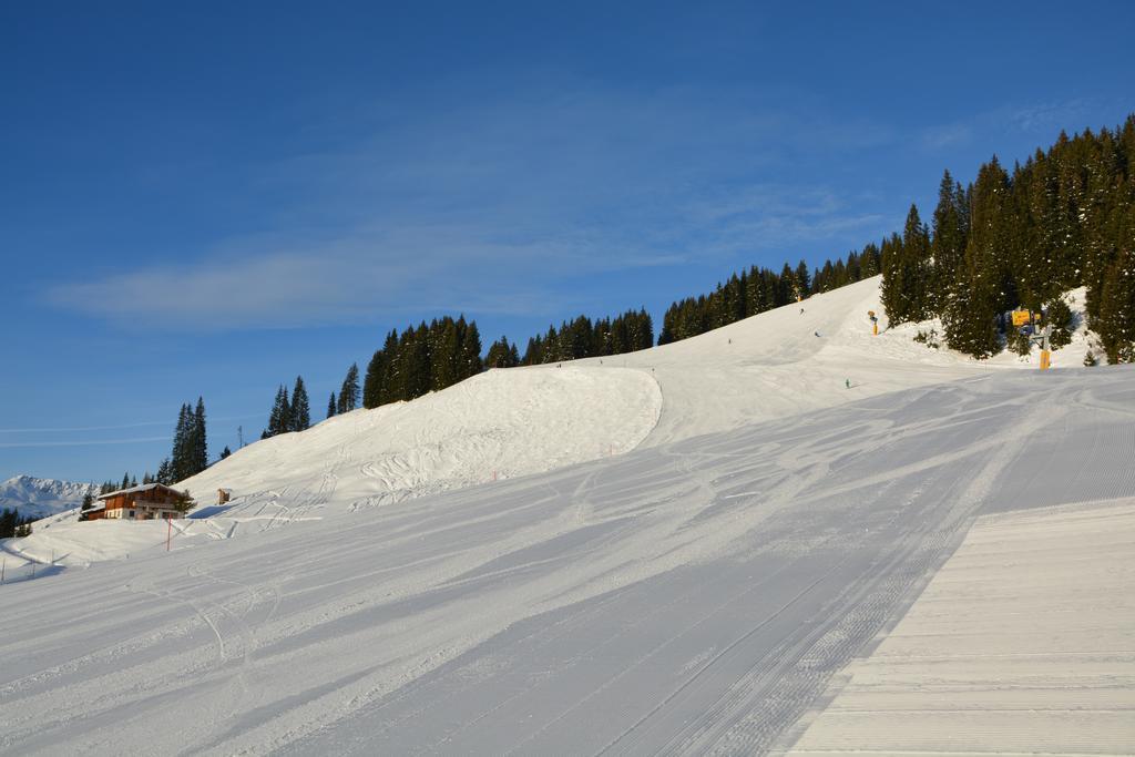 Wallegg - Alpine Premium - In-ski Out - Real Alpine Location *