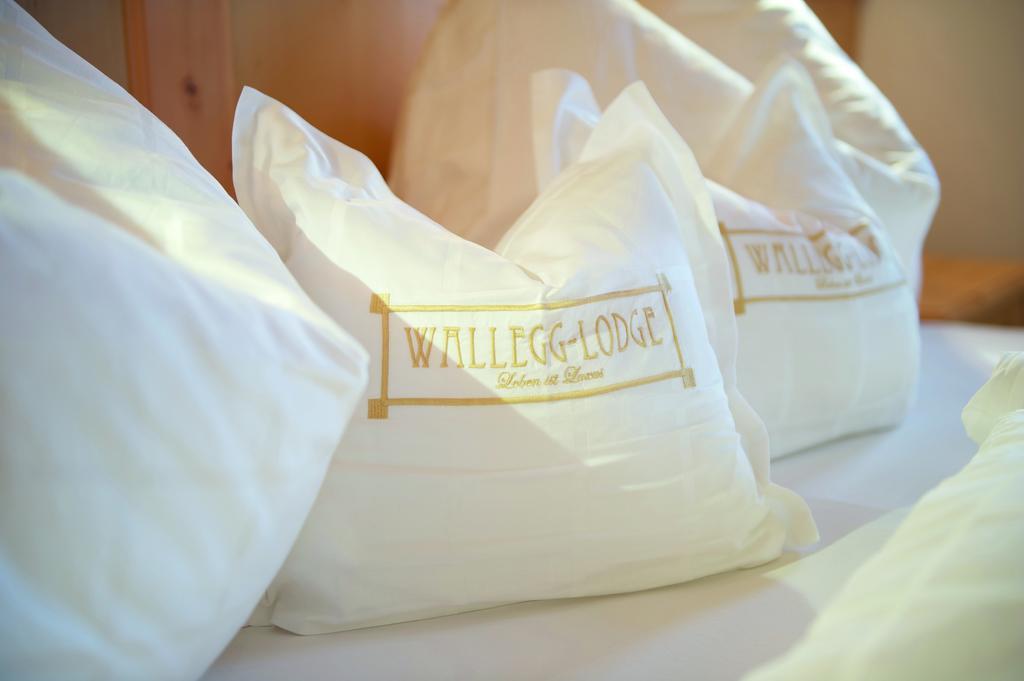 Wallegg - Alpine Premium - In-ski Out - Real Alpine Location Alpehytte